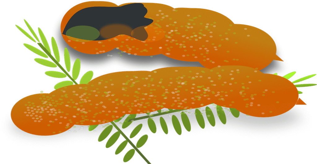 tamarind, fruit, seed, pod, brown, sweet, ingredient, tamarind, tamarind, tamarind, tamarind, tamarind