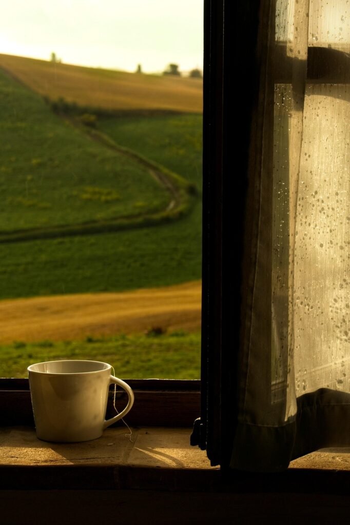 tea, cup, window, relax, tea cup, raindrops, field, countryside, afternoon