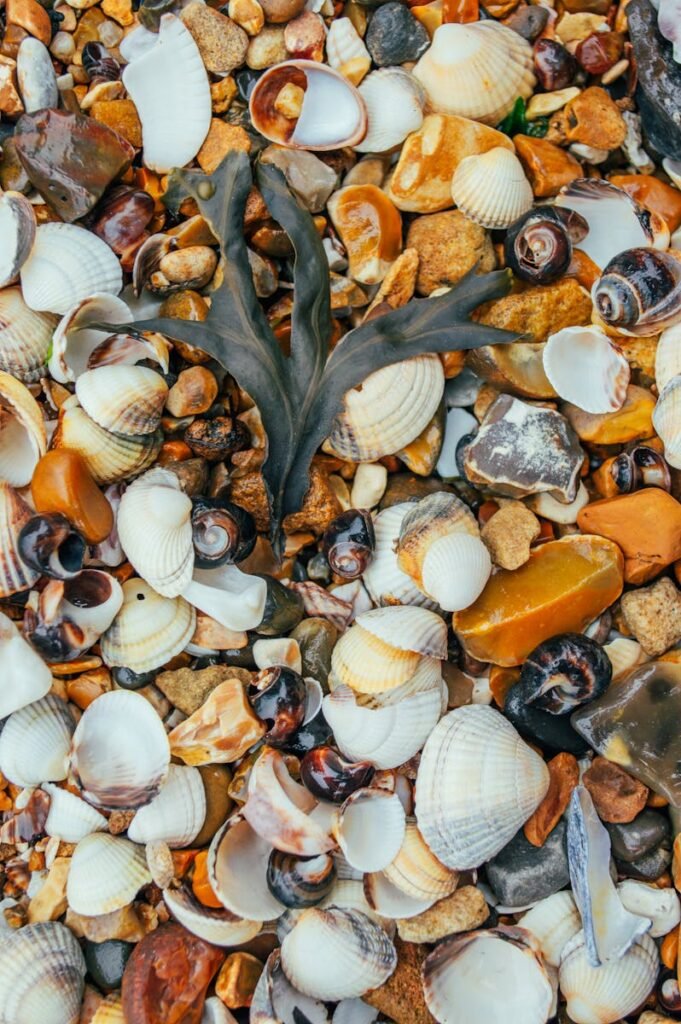 Vibrant assortment of seashells and pebbles with seaweed on a beach.
