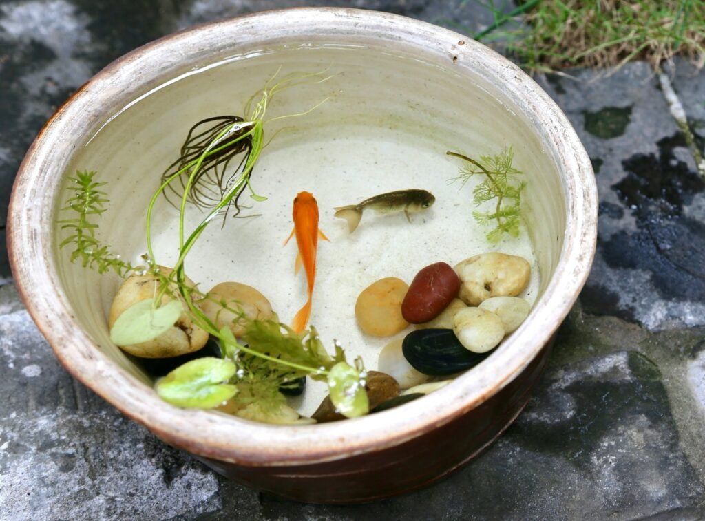 a bowl filled with fish and vegetables on top of a rock
